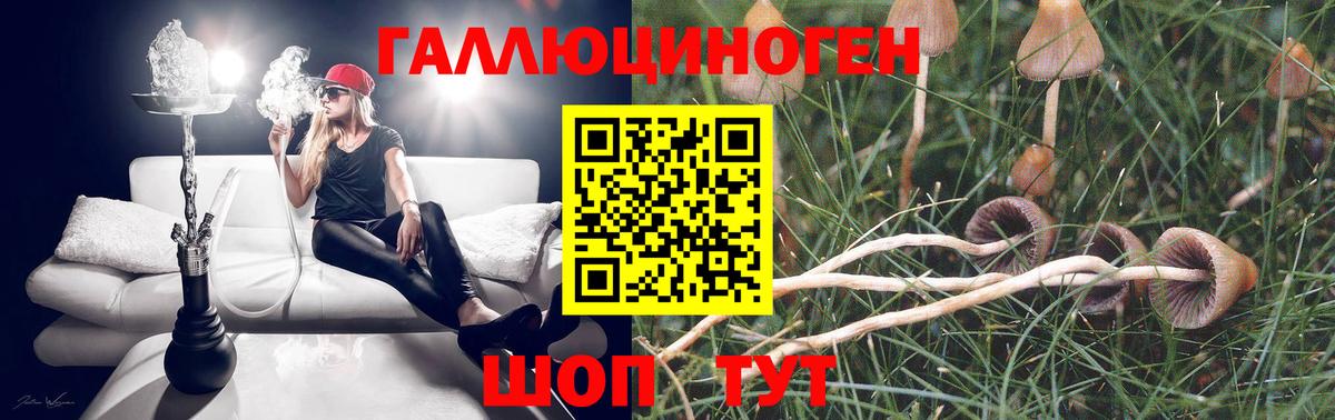 Новошахтинск  Галлюциногенные грибы Psilocybe  Псилоцибиновые грибы Psilocybine cubensis  Вход с VPN 